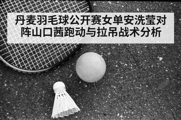 badminton court sport